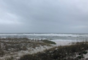 img_2994